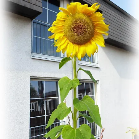 Lindenberger Hof ארנספלדה