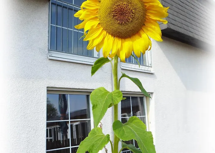 Lindenberger Hof أهرينسفيلد